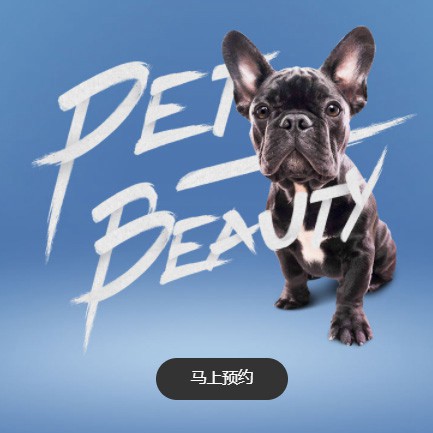 巴南宠物中心小程序开发