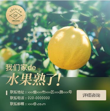 巴南果园果林小程序开发